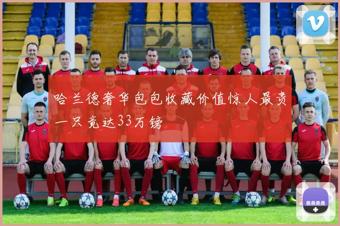 哈兰德奢华包包收藏价值惊人最贵一只竟达33万镑
